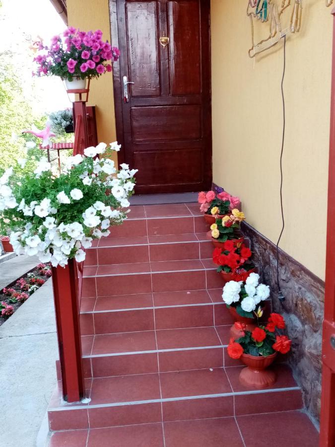 Casa Voica Turda Exterior foto