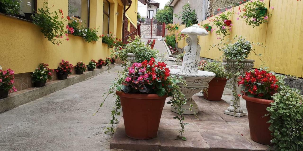 Casa Voica Turda Exterior foto
